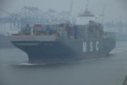 MSC Containerschiff MSC SOLA